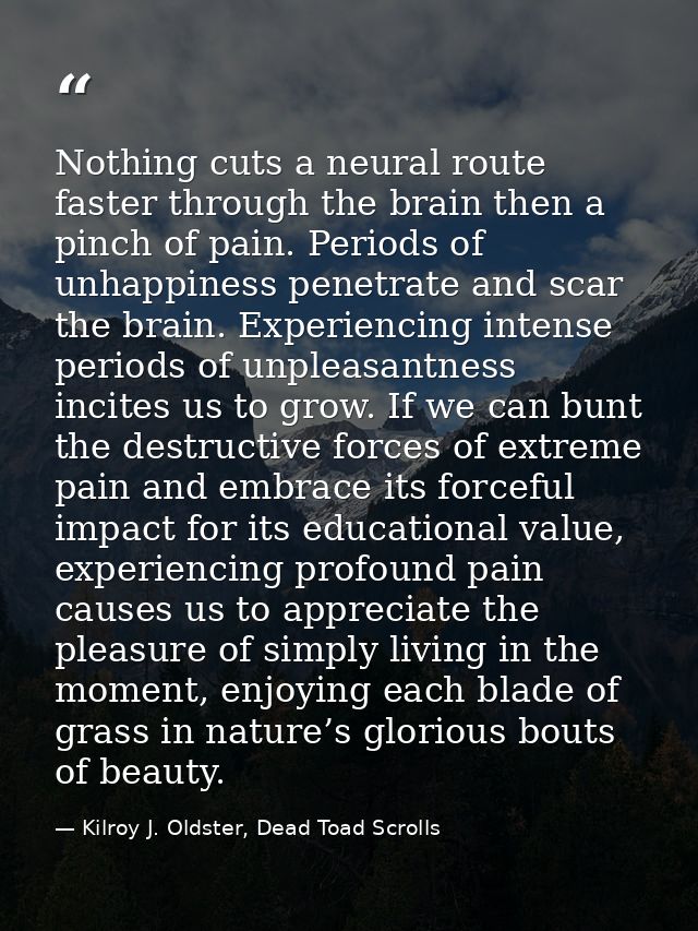 Nothing cuts a neural route faster through the brain then a pinch of pain. Periods of unhappiness penetrate and scar the — Kilroy J. Oldster, Dead Toad Scrolls