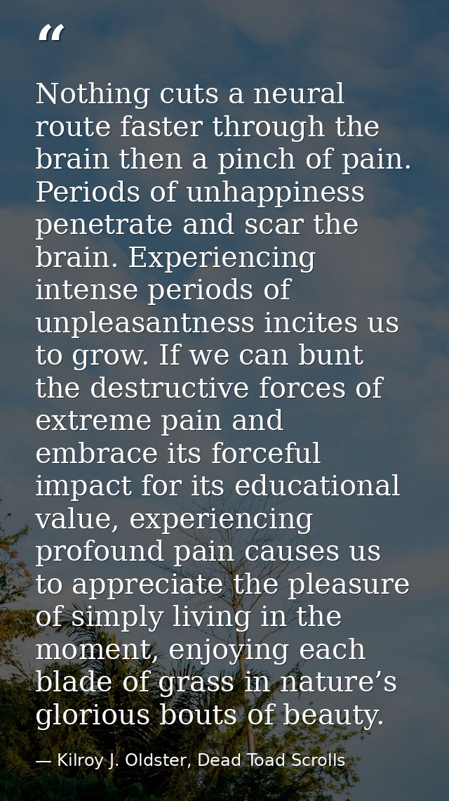 Nothing cuts a neural route faster through the brain then a pinch of pain. Periods of unhappiness penetrate and scar the — Kilroy J. Oldster, Dead Toad Scrolls