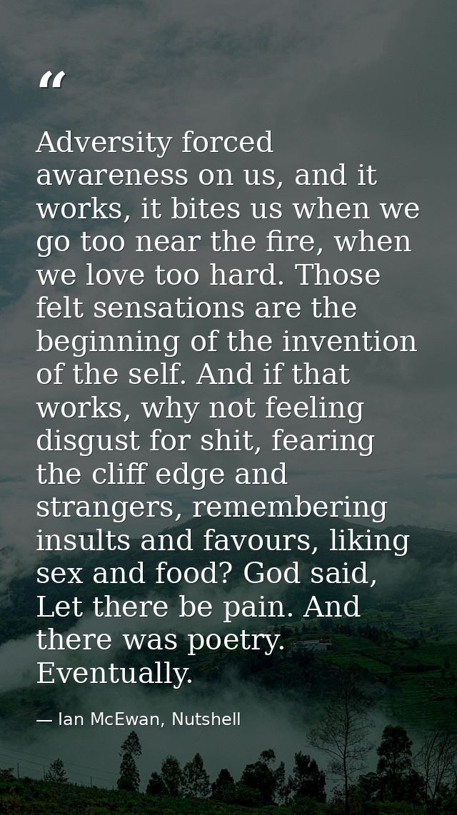 Adversity forced awareness on us, and it works, it bites us when we go too near the fire, when we love too hard. Those f — Ian McEwan, Nutshell
