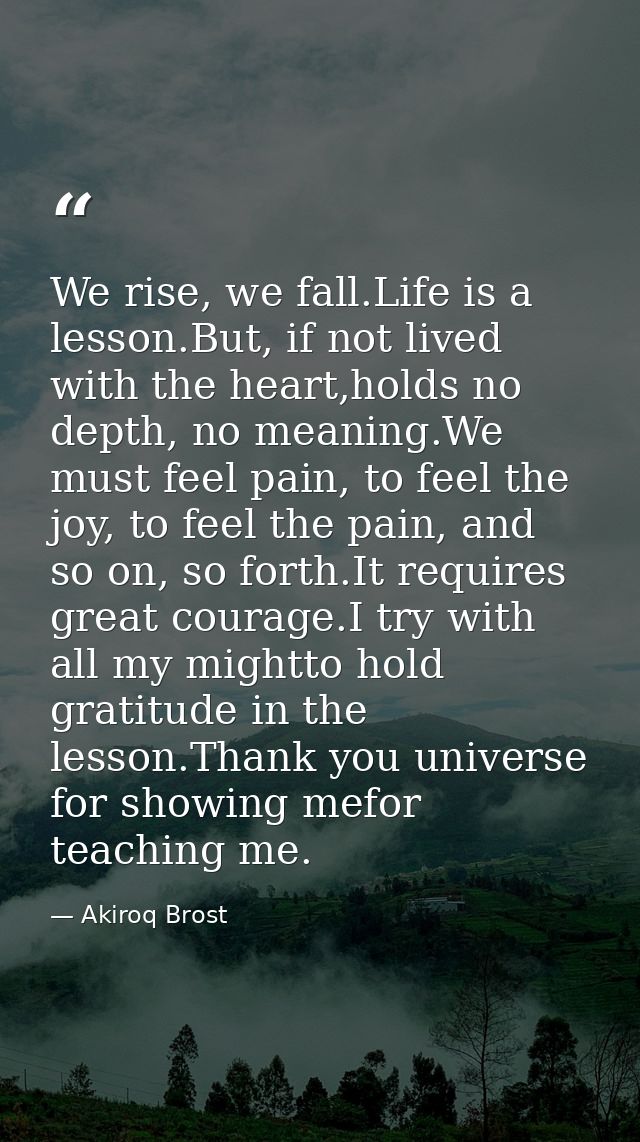 We rise, we fall.Life is a lesson.But, if not lived with the heart,holds no depth, no meaning.We must feel pain, to feel — Akiroq Brost