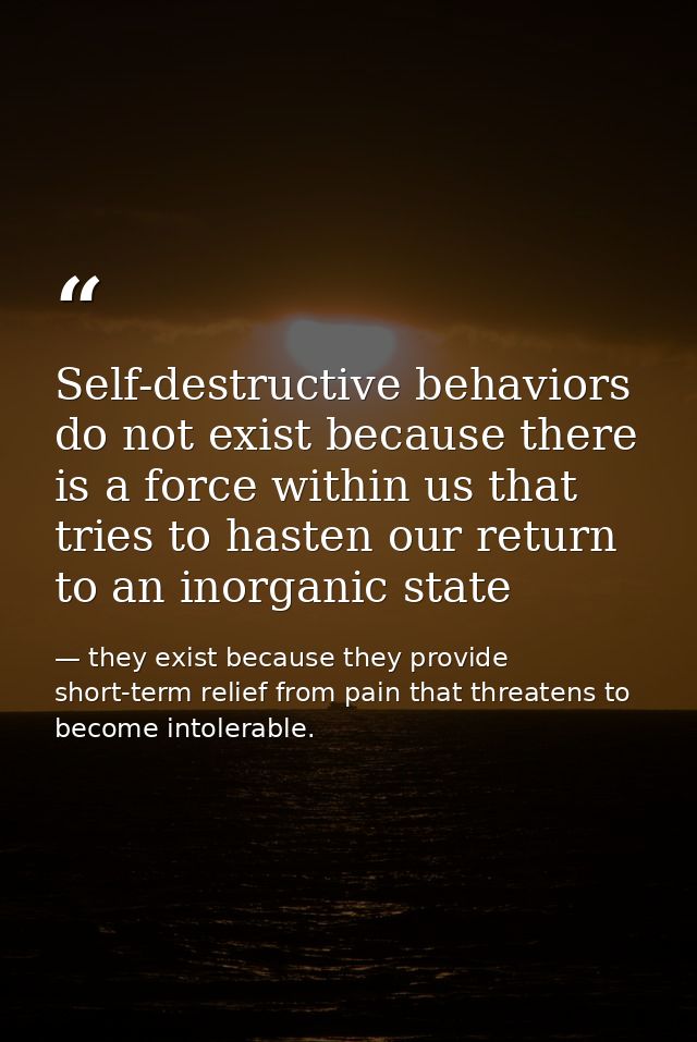 Self-destructive behaviors do not exist because there is a force within us that tries to hasten our return to an inorgan — they exist because they provide short-term relief from pain that threatens to become intolerable.