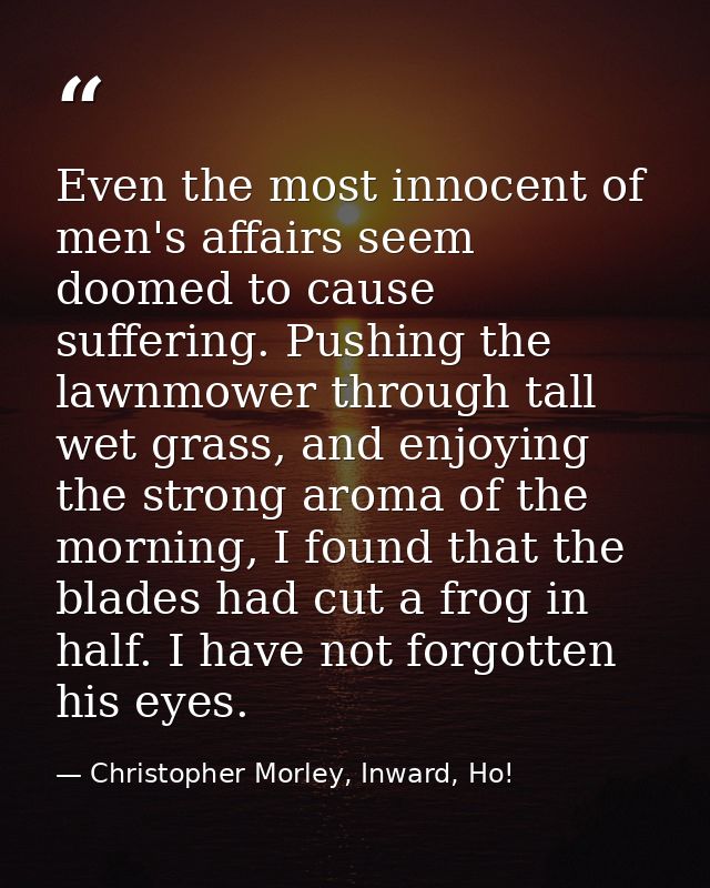 Even the most innocent of men's affairs seem doomed to cause suffering. Pushing the lawnmower through tall wet grass, an — Christopher Morley, Inward, Ho!