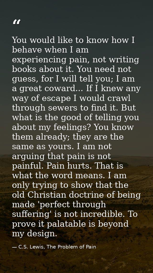 You would like to know how I behave when I am experiencing pain, not writing books about it. You need not guess, for I w — C.S. Lewis, The Problem of Pain