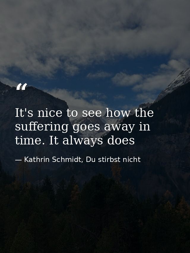 It's nice to see how the suffering goes away in time. It always does — Kathrin Schmidt, Du stirbst nicht