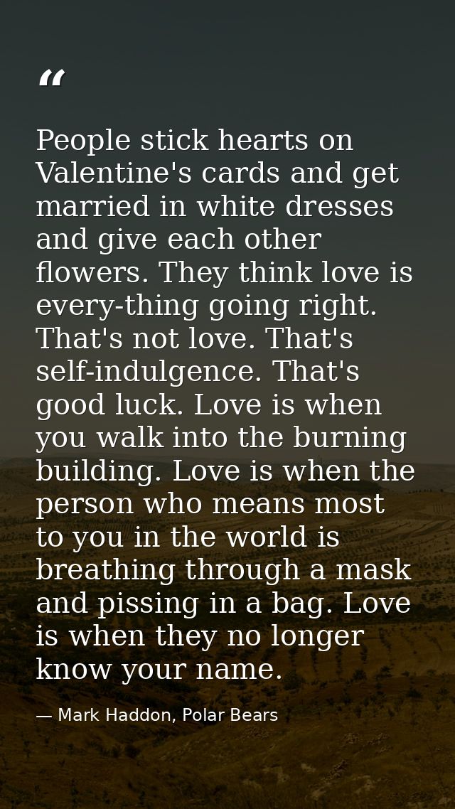 People stick hearts on Valentine's cards and get married in white dresses and give each other flowers. They think love i — Mark Haddon, Polar Bears