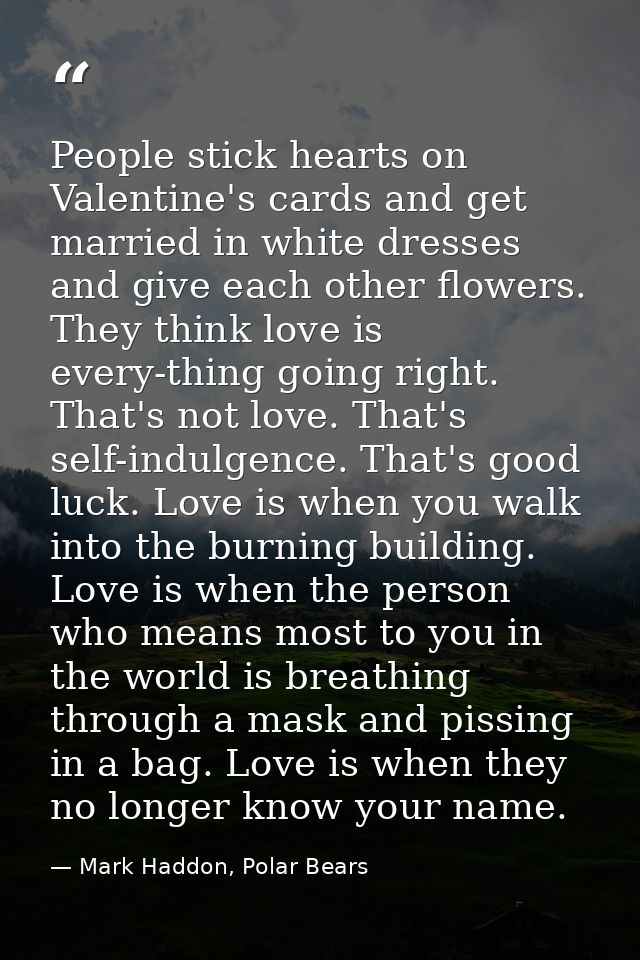 People stick hearts on Valentine's cards and get married in white dresses and give each other flowers. They think love i — Mark Haddon, Polar Bears