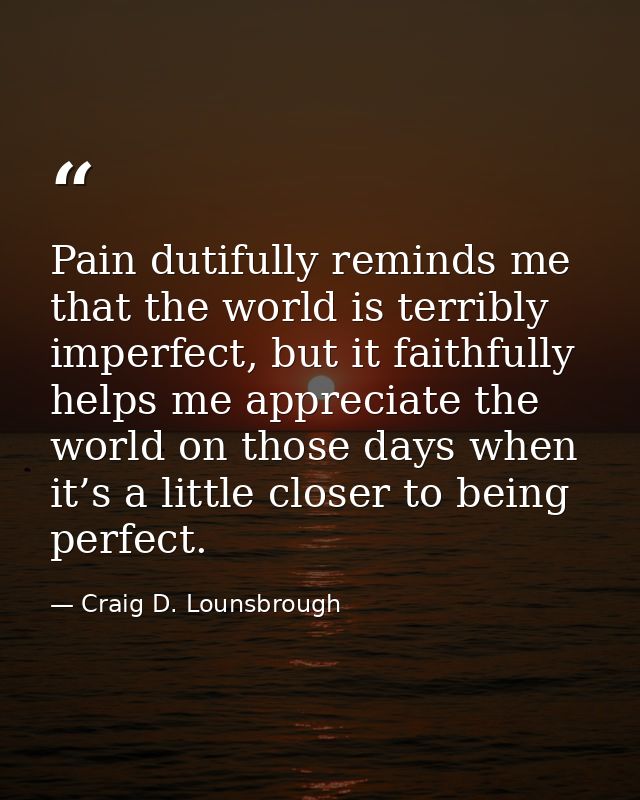 Pain dutifully reminds me that the world is terribly imperfect, but it faithfully helps me appreciate the world on those — Craig D. Lounsbrough