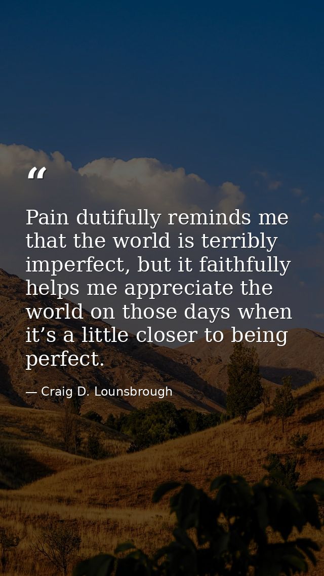 Pain dutifully reminds me that the world is terribly imperfect, but it faithfully helps me appreciate the world on those — Craig D. Lounsbrough