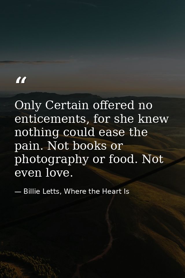Only Certain offered no enticements, for she knew nothing could ease the pain. Not books or photography or food. Not eve — Billie Letts, Where the Heart Is