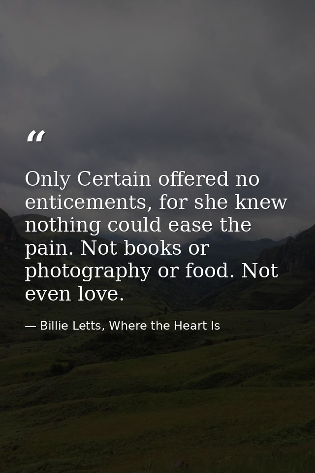 Only Certain offered no enticements, for she knew nothing could ease the pain. Not books or photography or food. Not eve — Billie Letts, Where the Heart Is