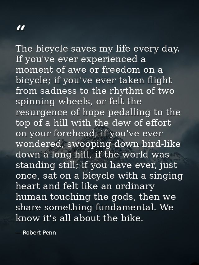 The bicycle saves my life every day. If you've ever experienced a moment of awe or freedom on a bicycle; if you've ever  — Robert Penn