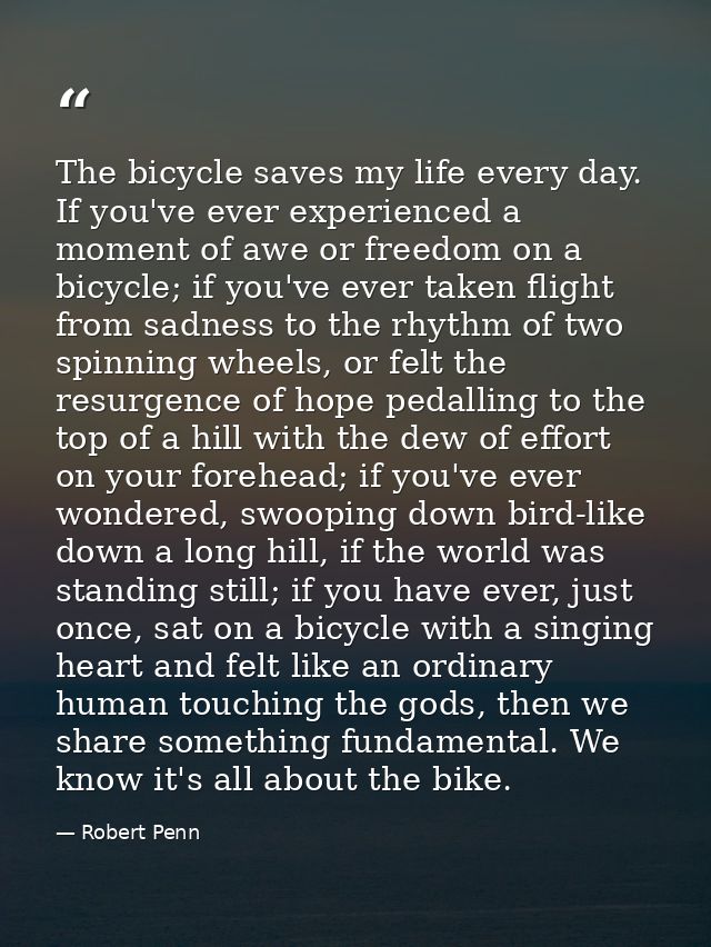 The bicycle saves my life every day. If you've ever experienced a moment of awe or freedom on a bicycle; if you've ever  — Robert Penn