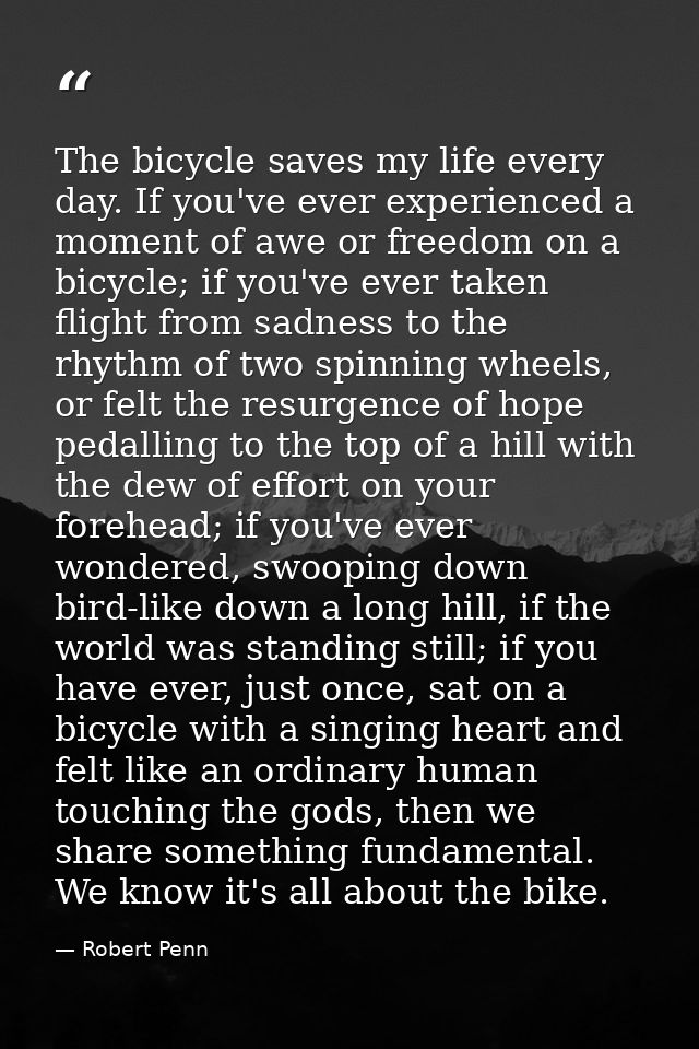 The bicycle saves my life every day. If you've ever experienced a moment of awe or freedom on a bicycle; if you've ever  — Robert Penn