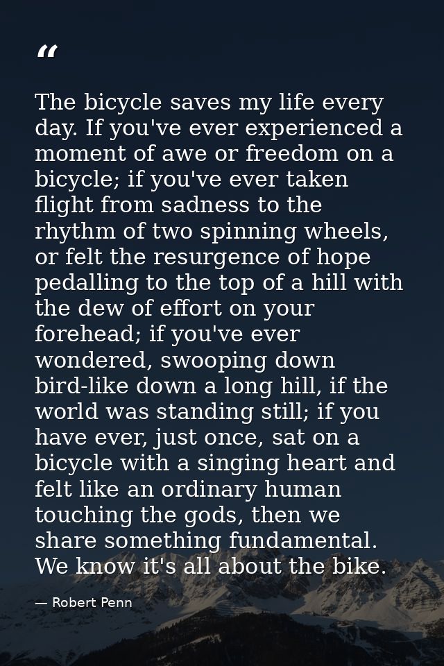 The bicycle saves my life every day. If you've ever experienced a moment of awe or freedom on a bicycle; if you've ever  — Robert Penn