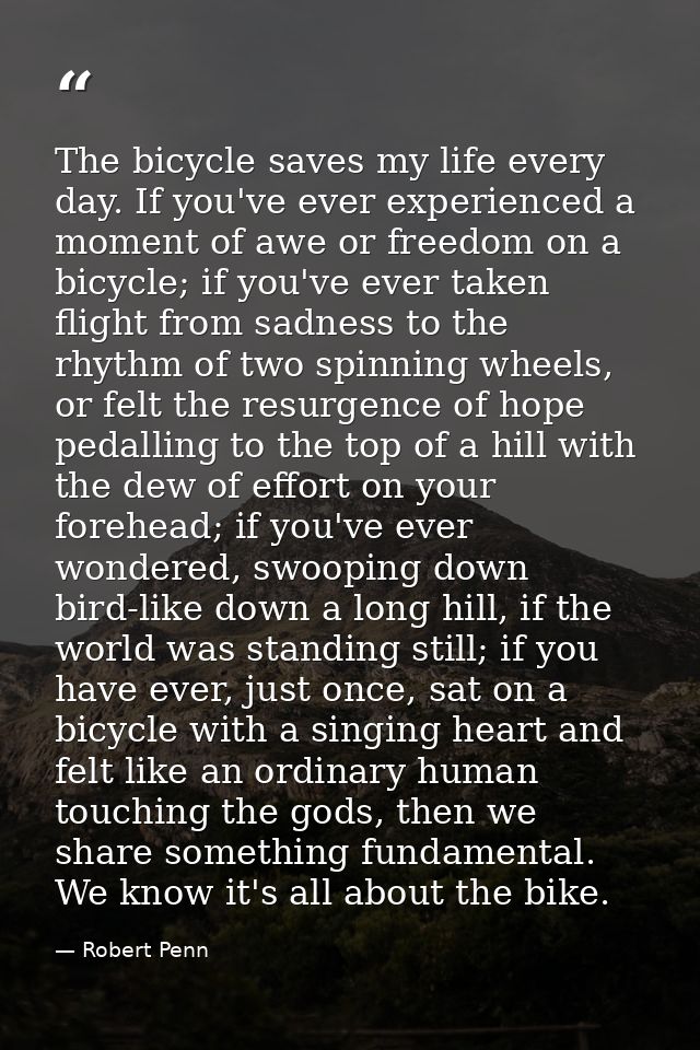 The bicycle saves my life every day. If you've ever experienced a moment of awe or freedom on a bicycle; if you've ever  — Robert Penn