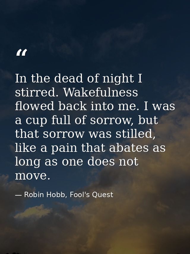 In the dead of night I stirred. Wakefulness flowed back into me. I was a cup full of sorrow, but that sorrow was stilled — Robin Hobb, Fool's Quest