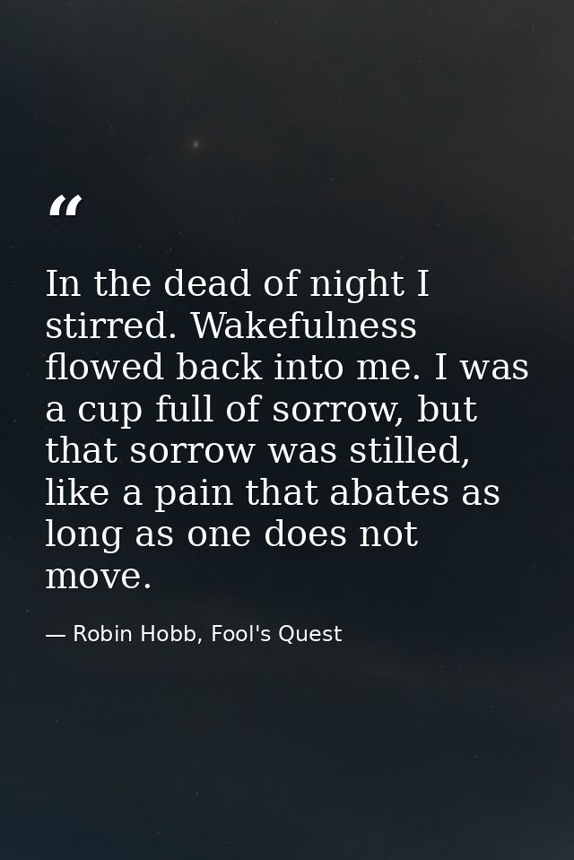 In the dead of night I stirred. Wakefulness flowed back into me. I was a cup full of sorrow, but that sorrow was stilled — Robin Hobb, Fool's Quest