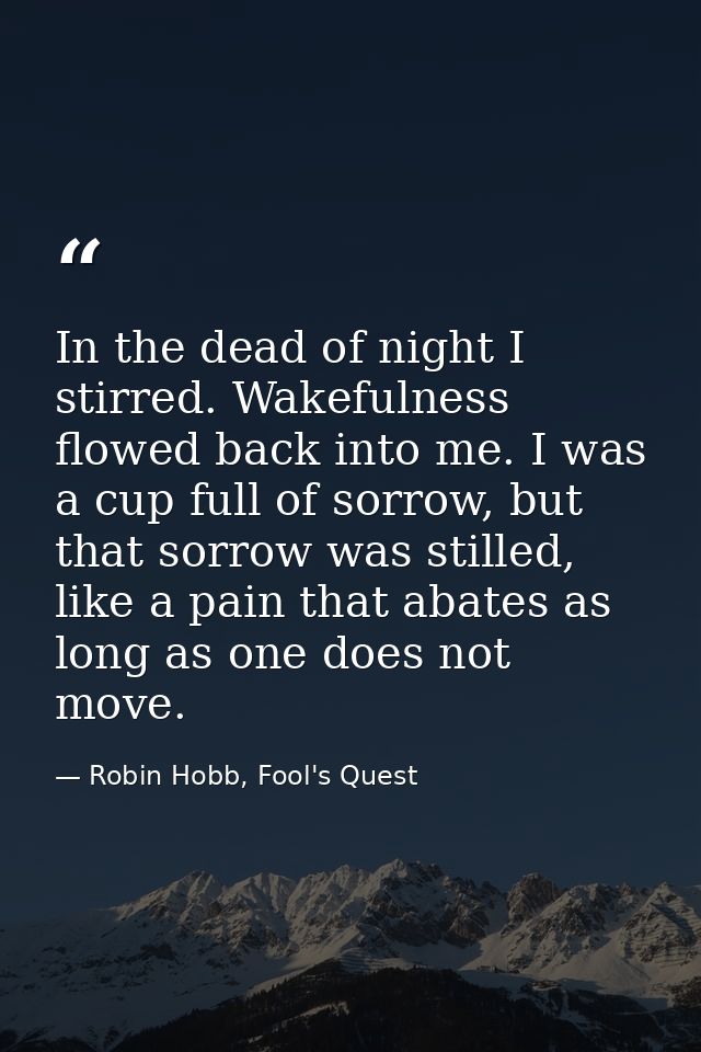 In the dead of night I stirred. Wakefulness flowed back into me. I was a cup full of sorrow, but that sorrow was stilled — Robin Hobb, Fool's Quest