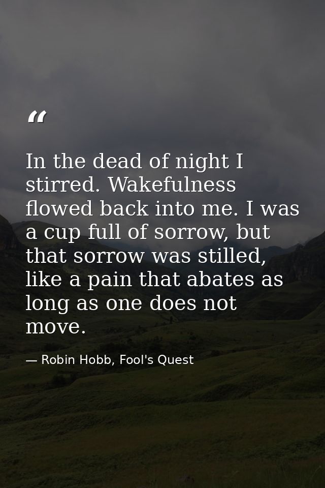 In the dead of night I stirred. Wakefulness flowed back into me. I was a cup full of sorrow, but that sorrow was stilled — Robin Hobb, Fool's Quest