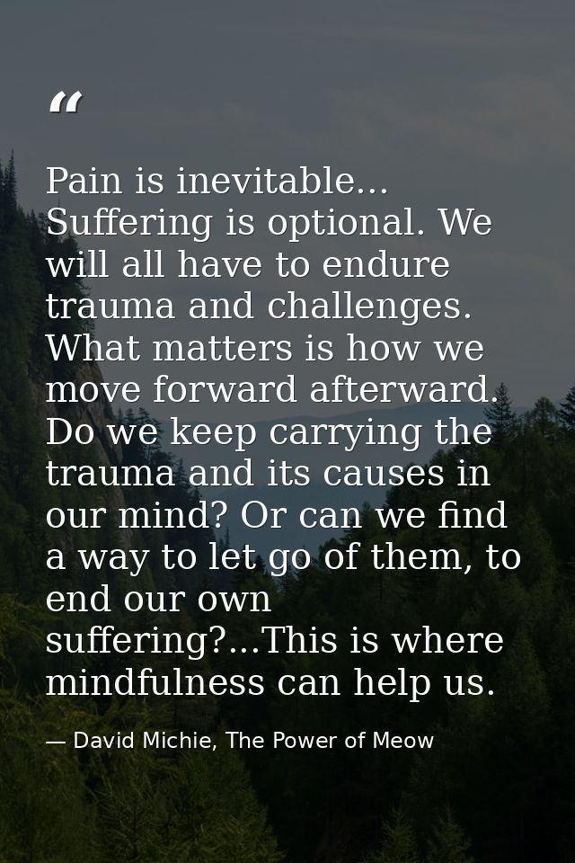 Pain is inevitable... Suffering is optional. We will all have to endure trauma and challenges. What matters is how we mo — David Michie, The Power of Meow