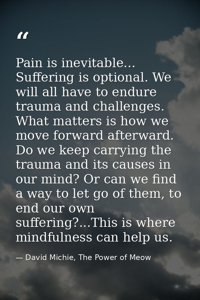 Pain is inevitable... Suffering is optional. We will all have to endure trauma and challenges. What matters is how we mo — David Michie, The Power of Meow