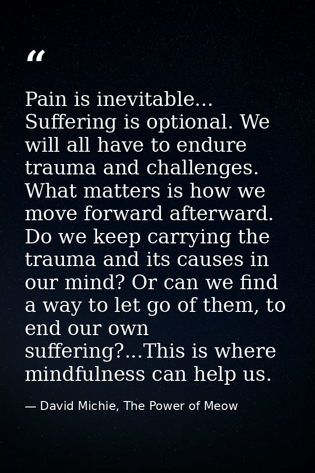 Pain is inevitable... Suffering is optional. We will all have to endure trauma and challenges. What matters is how we mo — David Michie, The Power of Meow