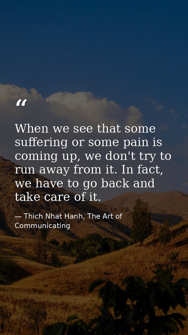 When we see that some suffering or some pain is coming up, we don't try to run away from it. In fact, we have to go back — Thich Nhat Hanh, The Art of Communicating