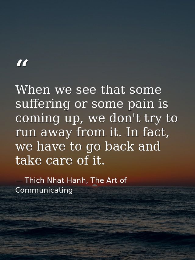 When we see that some suffering or some pain is coming up, we don't try to run away from it. In fact, we have to go back — Thich Nhat Hanh, The Art of Communicating