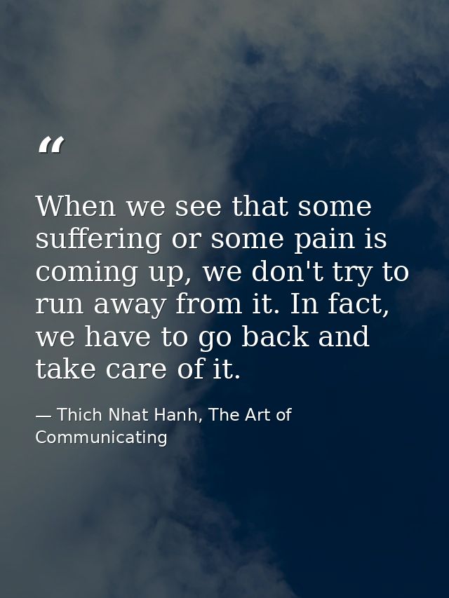 When we see that some suffering or some pain is coming up, we don't try to run away from it. In fact, we have to go back — Thich Nhat Hanh, The Art of Communicating