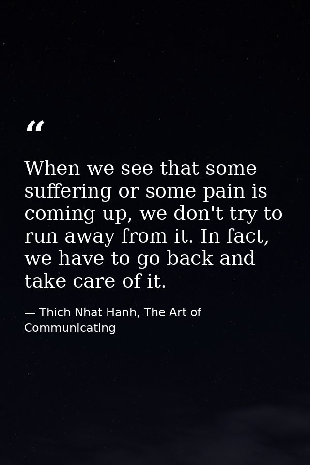 When we see that some suffering or some pain is coming up, we don't try to run away from it. In fact, we have to go back — Thich Nhat Hanh, The Art of Communicating