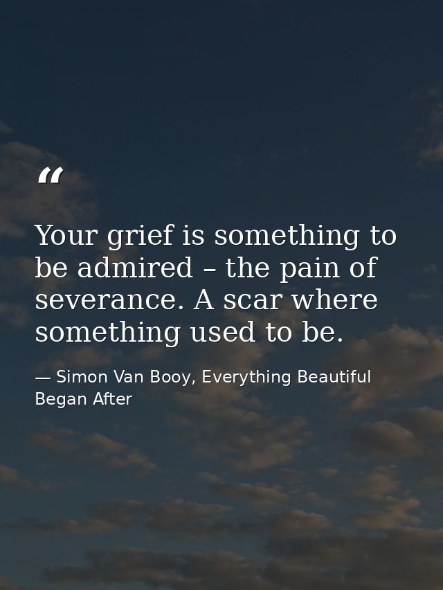 Your grief is something to be admired – the pain of severance. A scar where something used to be. — Simon Van Booy, Everything Beautiful Began After