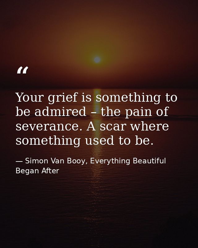 Your grief is something to be admired – the pain of severance. A scar where something used to be. — Simon Van Booy, Everything Beautiful Began After