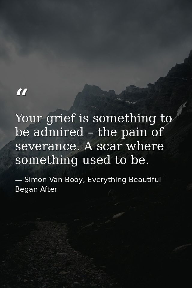 Your grief is something to be admired – the pain of severance. A scar where something used to be. — Simon Van Booy, Everything Beautiful Began After
