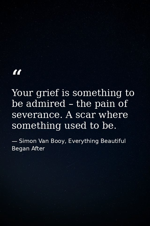 Your grief is something to be admired – the pain of severance. A scar where something used to be. — Simon Van Booy, Everything Beautiful Began After