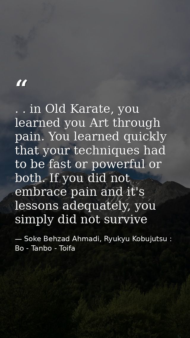 . . in Old Karate, you learned you Art through pain. You learned quickly that your techniques had to be fast or powerful — Soke Behzad Ahmadi, Ryukyu Kobujutsu : Bo - Tanbo - Toifa