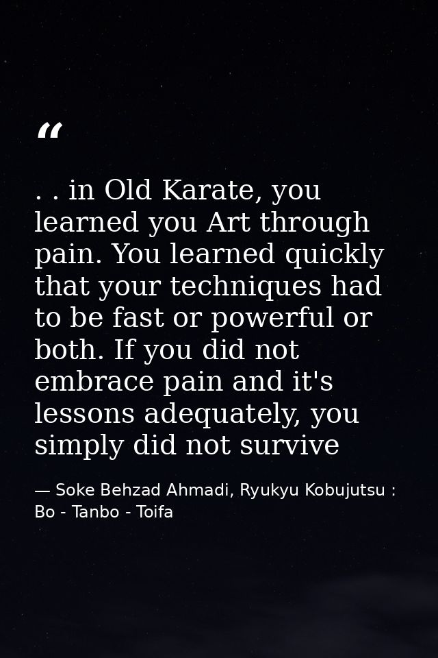 . . in Old Karate, you learned you Art through pain. You learned quickly that your techniques had to be fast or powerful — Soke Behzad Ahmadi, Ryukyu Kobujutsu : Bo - Tanbo - Toifa