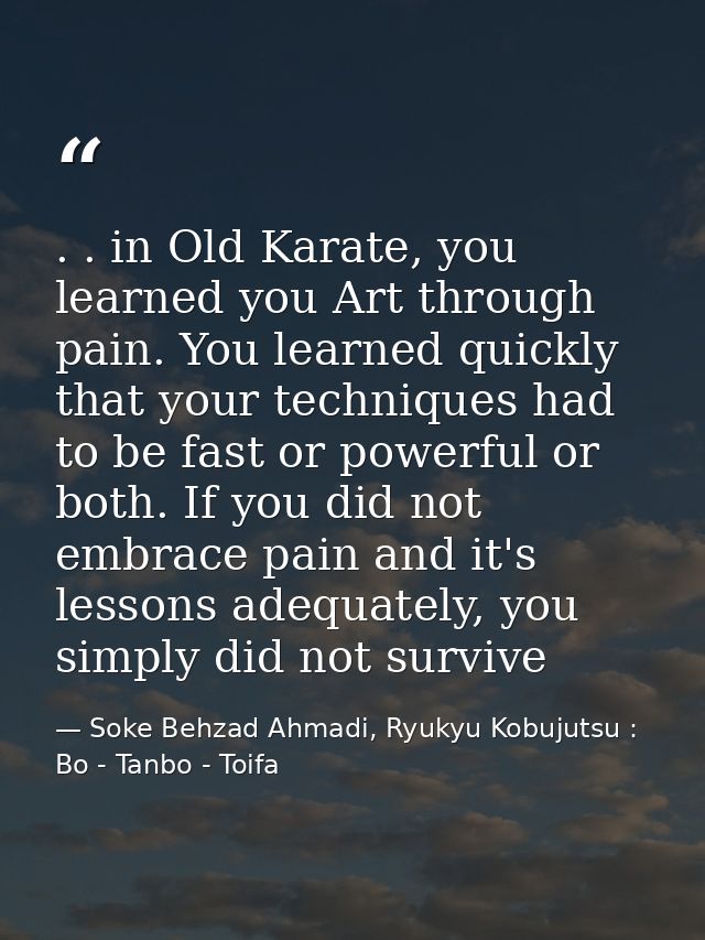 . . in Old Karate, you learned you Art through pain. You learned quickly that your techniques had to be fast or powerful — Soke Behzad Ahmadi, Ryukyu Kobujutsu : Bo - Tanbo - Toifa
