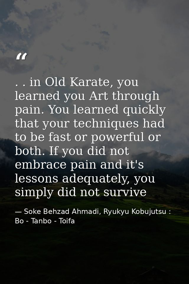 . . in Old Karate, you learned you Art through pain. You learned quickly that your techniques had to be fast or powerful — Soke Behzad Ahmadi, Ryukyu Kobujutsu : Bo - Tanbo - Toifa