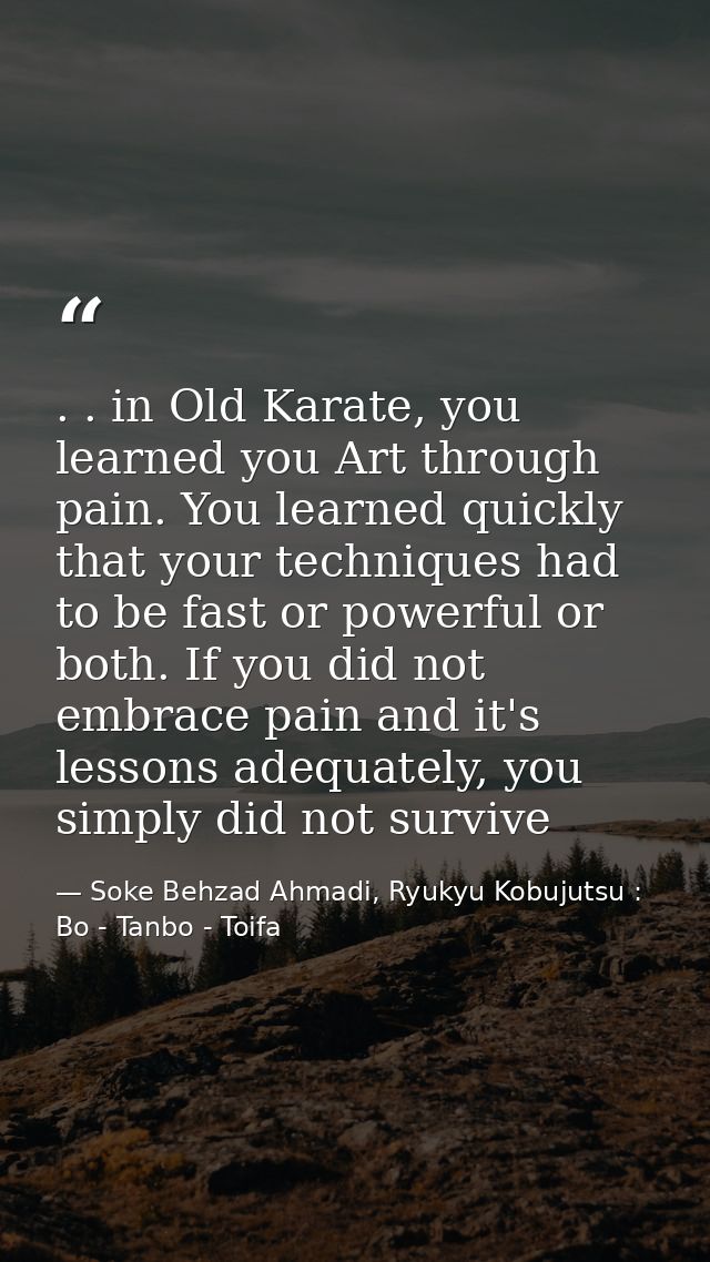 . . in Old Karate, you learned you Art through pain. You learned quickly that your techniques had to be fast or powerful — Soke Behzad Ahmadi, Ryukyu Kobujutsu : Bo - Tanbo - Toifa