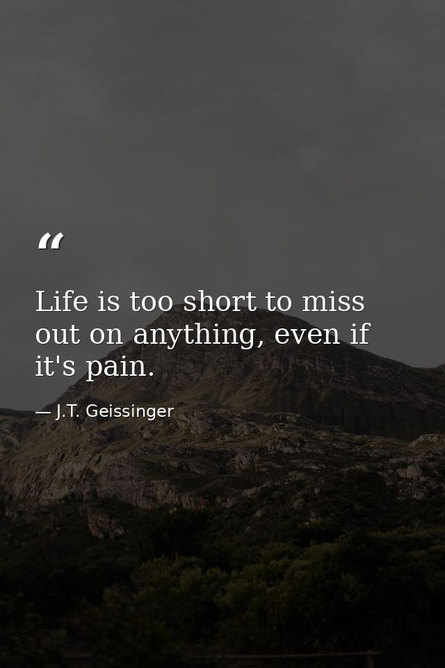 Life is too short to miss out on anything, even if it's pain. — J.T. Geissinger