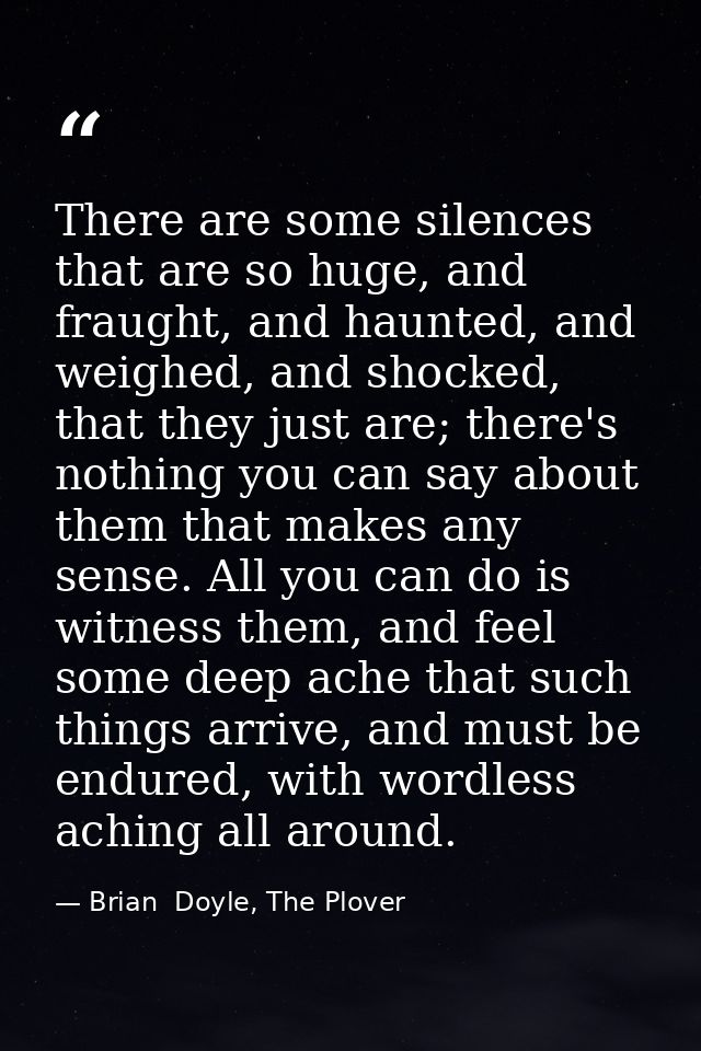 There are some silences that are so huge, and fraught, and haunted, and weighed, and shocked, that they just are; there' — Brian  Doyle, The Plover