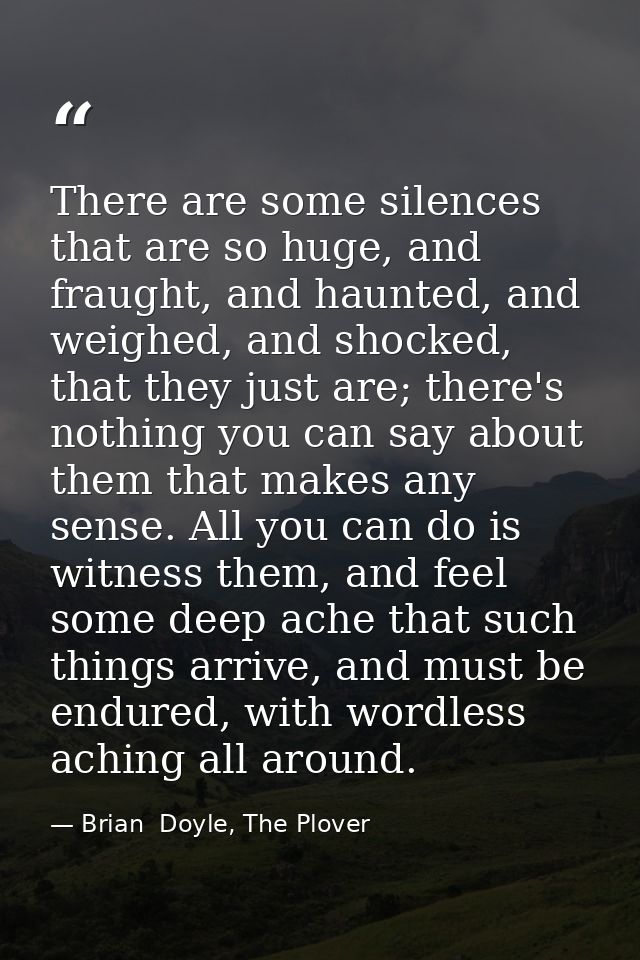 There are some silences that are so huge, and fraught, and haunted, and weighed, and shocked, that they just are; there' — Brian  Doyle, The Plover