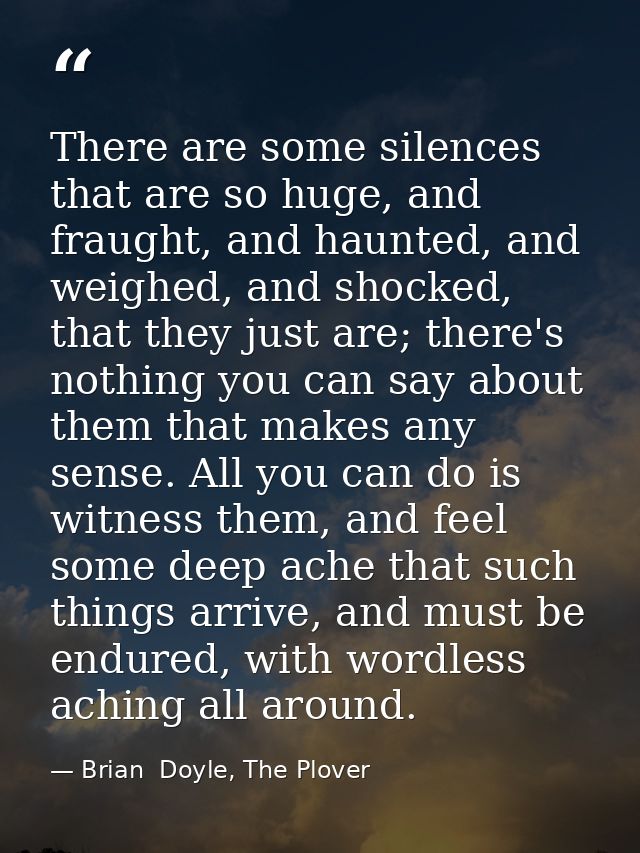 There are some silences that are so huge, and fraught, and haunted, and weighed, and shocked, that they just are; there' — Brian  Doyle, The Plover