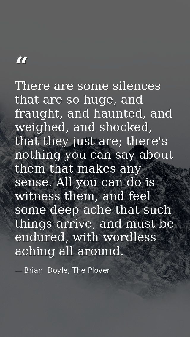 There are some silences that are so huge, and fraught, and haunted, and weighed, and shocked, that they just are; there' — Brian  Doyle, The Plover