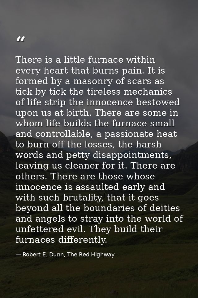 There is a little furnace within every heart that burns pain. It is formed by a masonry of scars as tick by tick the tir — Robert E. Dunn, The Red Highway