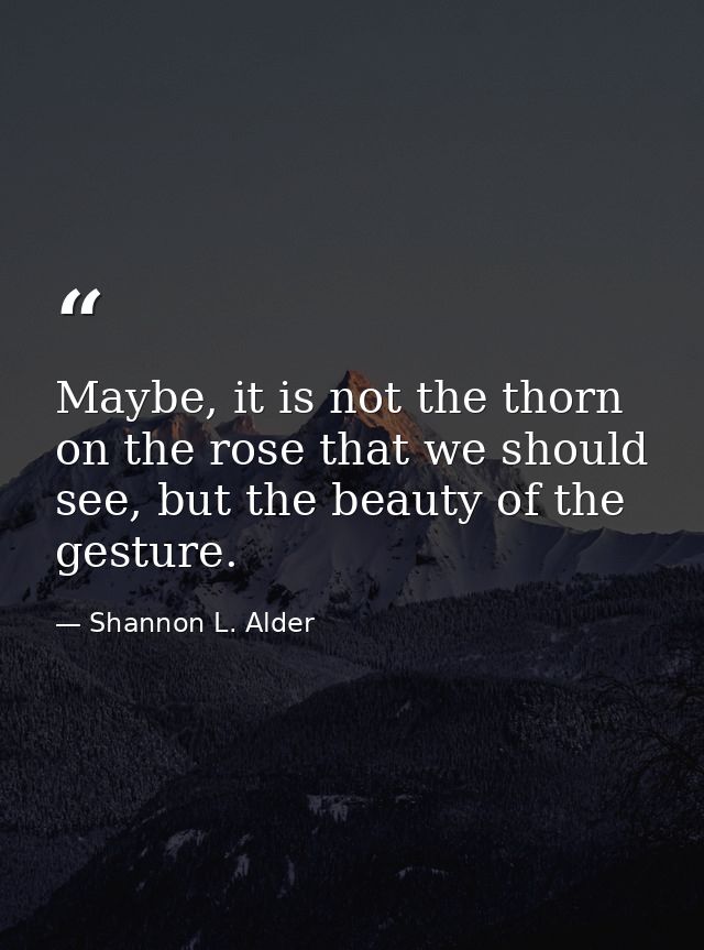 Maybe, it is not the thorn on the rose that we should see, but the beauty of the gesture. — Shannon L. Alder
