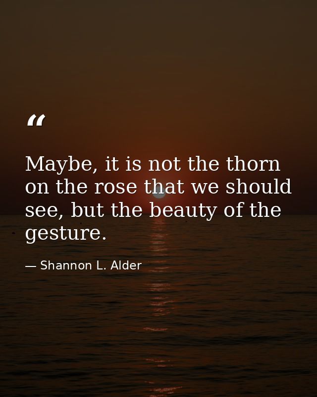 Maybe, it is not the thorn on the rose that we should see, but the beauty of the gesture. — Shannon L. Alder