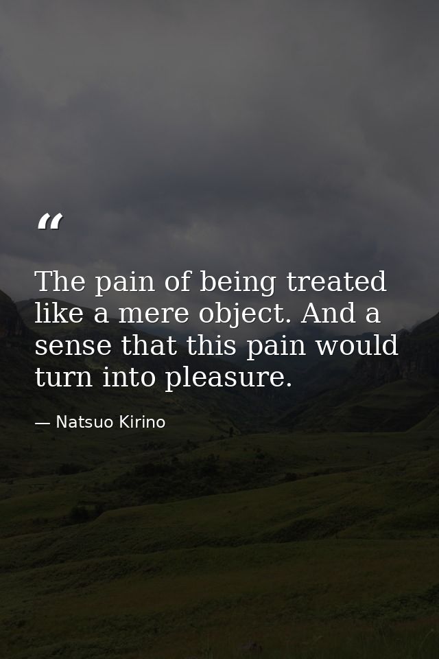 The pain of being treated like a mere object. And a sense that this pain would turn into pleasure. — Natsuo Kirino