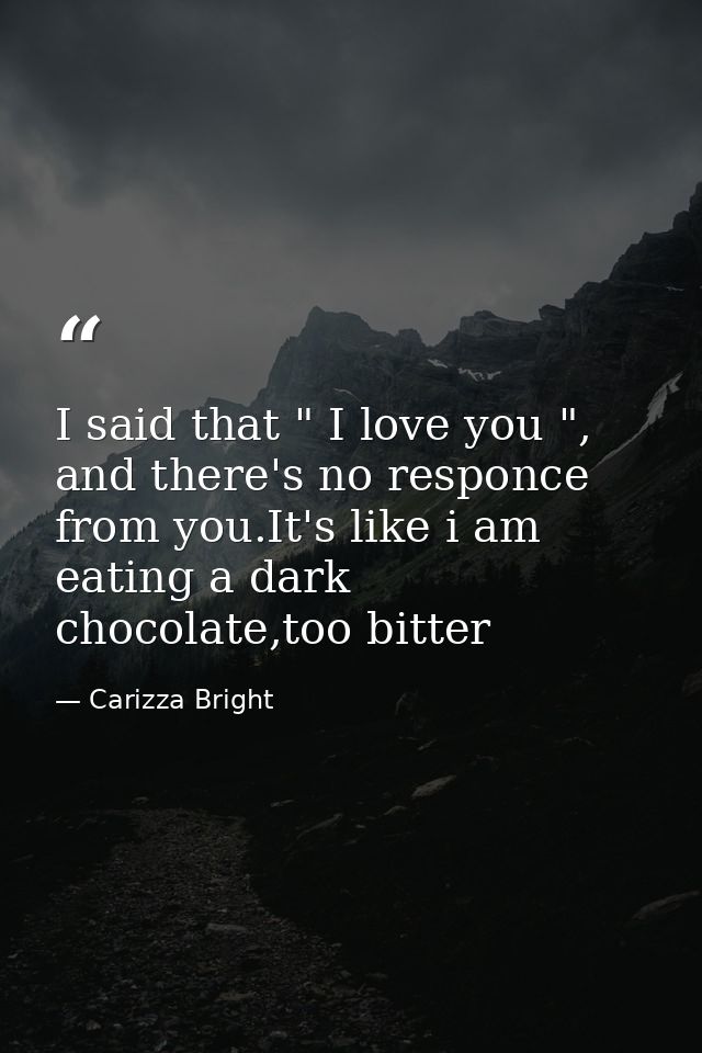 I said that " I love you ", and there's no responce from you.It's like i am eating a dark chocolate,too bitter — Carizza Bright