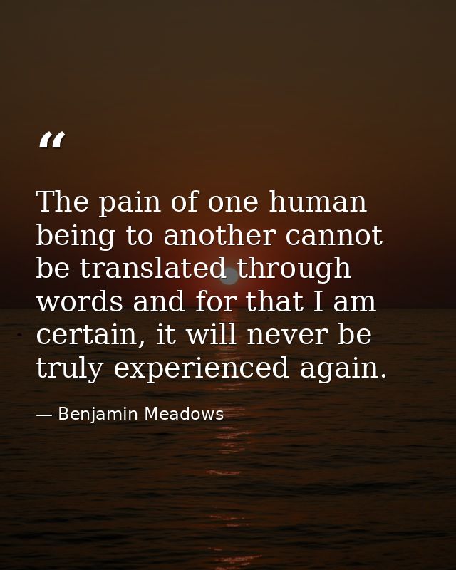 The pain of one human being to another cannot be translated through words and for that I am certain, it will never be tr — Benjamin Meadows